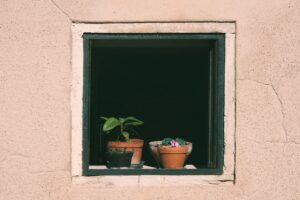 Dependencia emocional: diferencias con el amor sano — Madrid Terapia
